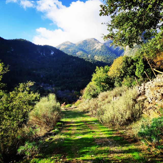 Hiking_Parnonas_Greece_203206_284