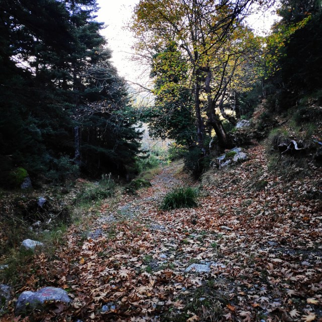 Hiking_Parnonas_Greece_203320_050