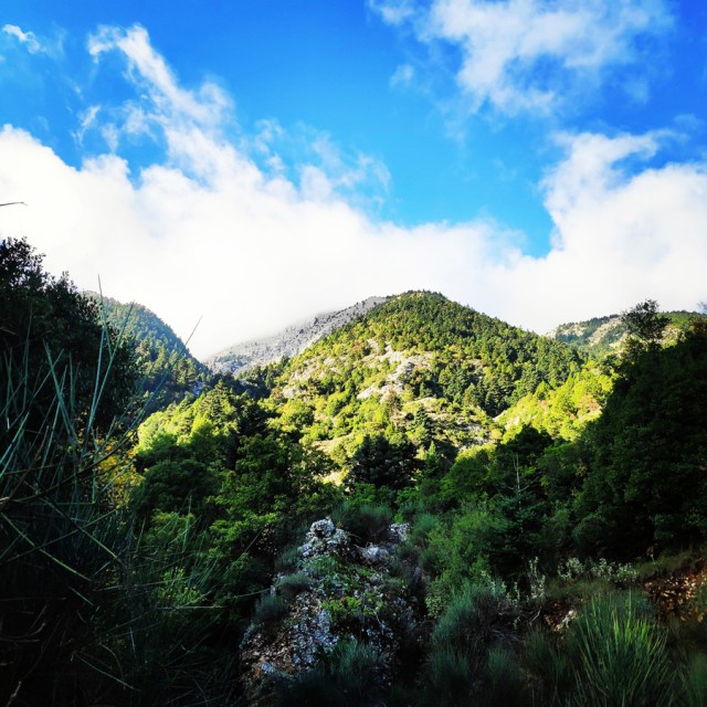 Hiking_Parnonas_Greece_203346_901