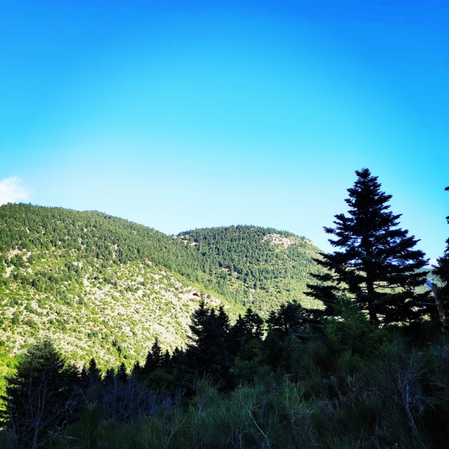 Hiking_Parnonas_Greece_203443_777