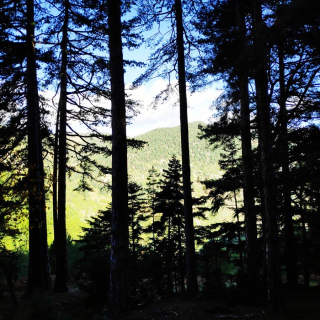 Hiking_Parnonas_Greece_203532_073