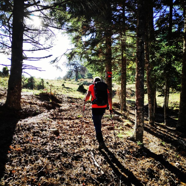 Hiking_Parnonas_Greece_203724_080