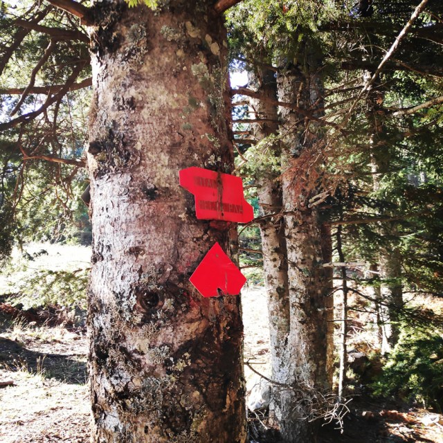 Hiking_Parnonas_Greece_203736_378