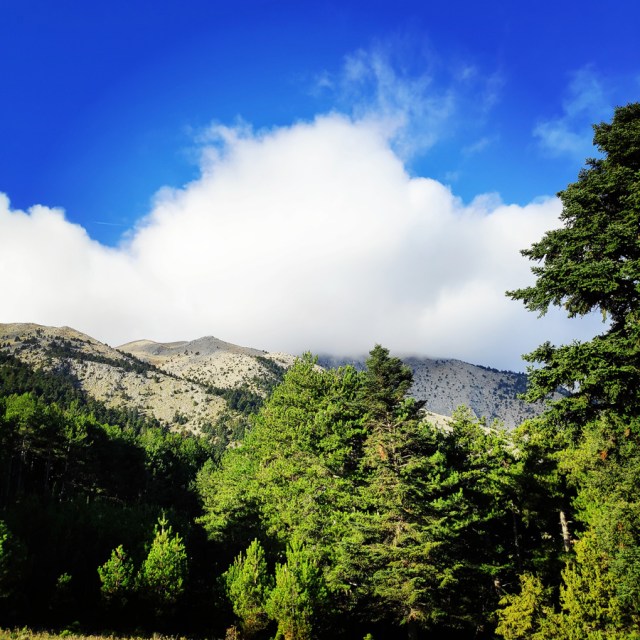 Hiking_Parnonas_Greece_203754_377