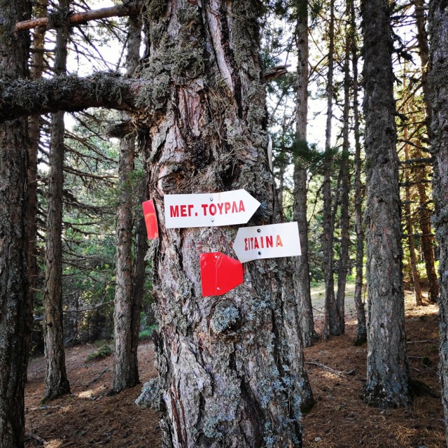 Hiking_Parnonas_Greece_203809_766