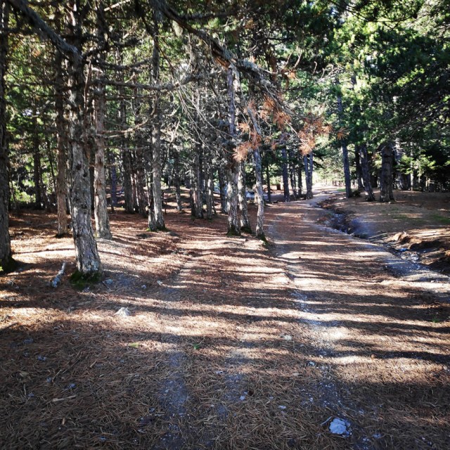 Hiking_Parnonas_Greece_203830_754