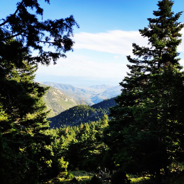 Hiking_Parnonas_Greece_210201_563