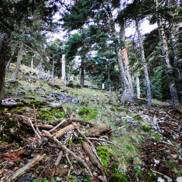 Hiking_Parnonas_Greece_210226_439