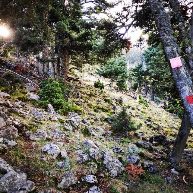 Hiking_Parnonas_Greece_210249_052