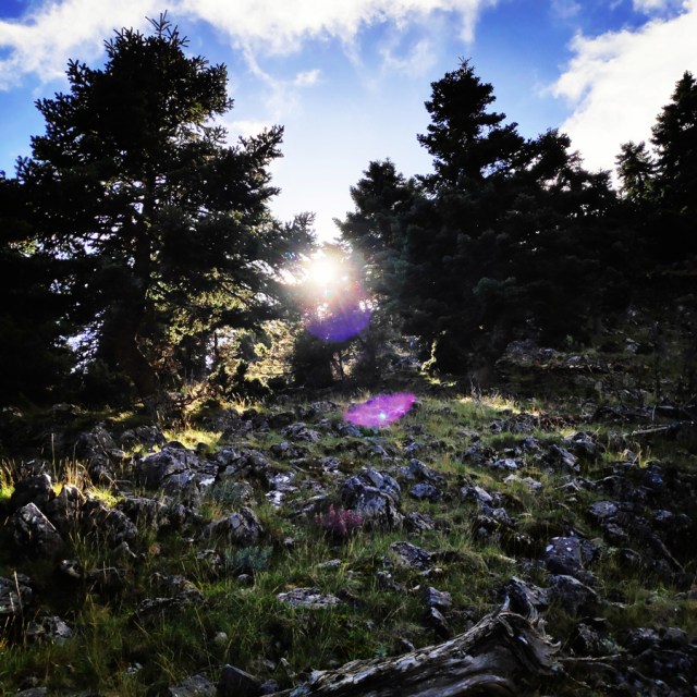 Hiking_Parnonas_Greece_210311_914