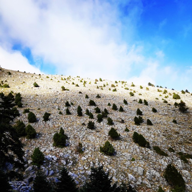 Hiking_Parnonas_Greece_210418_062