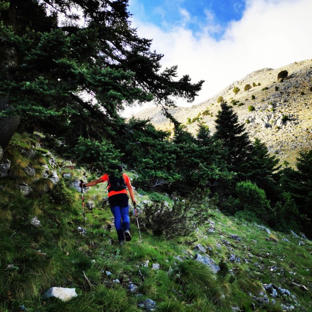 Hiking_Parnonas_Greece_210435_372