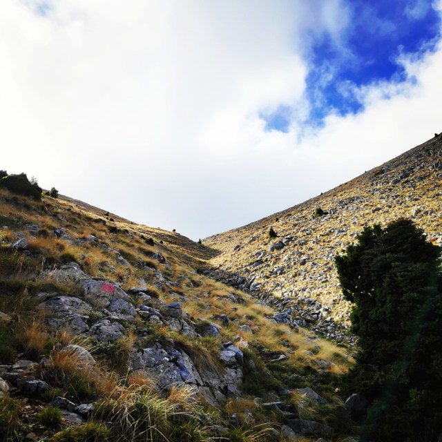 Hiking_Parnonas_Greece_210456_550