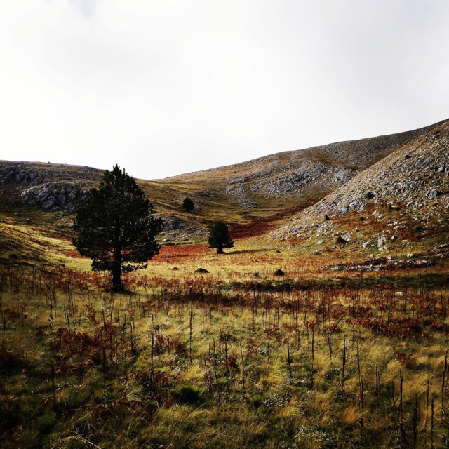 Hiking_Parnonas_Greece_210619_517