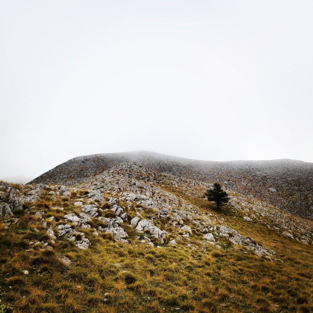 Hiking_Parnonas_Greece_210841_036