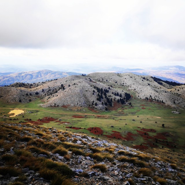 Hiking_Parnonas_Greece_211248_368