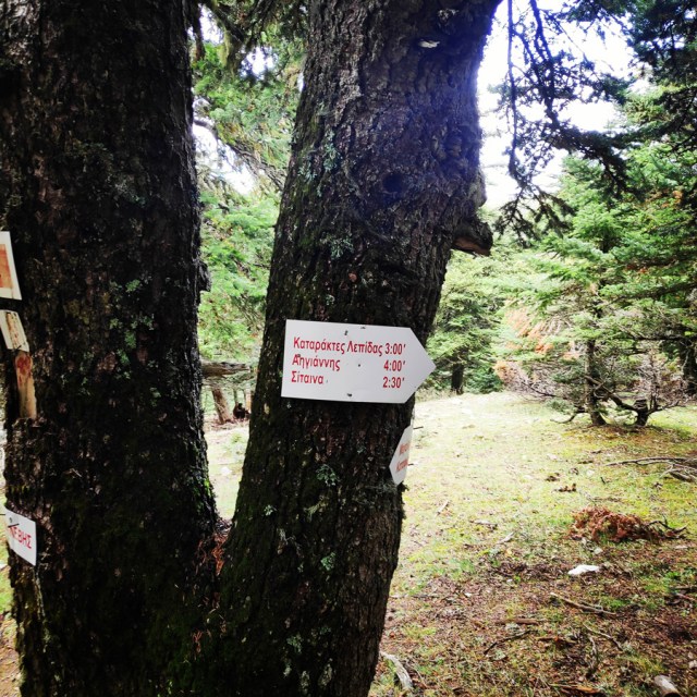 Hiking_Parnonas_Greece_211656_974