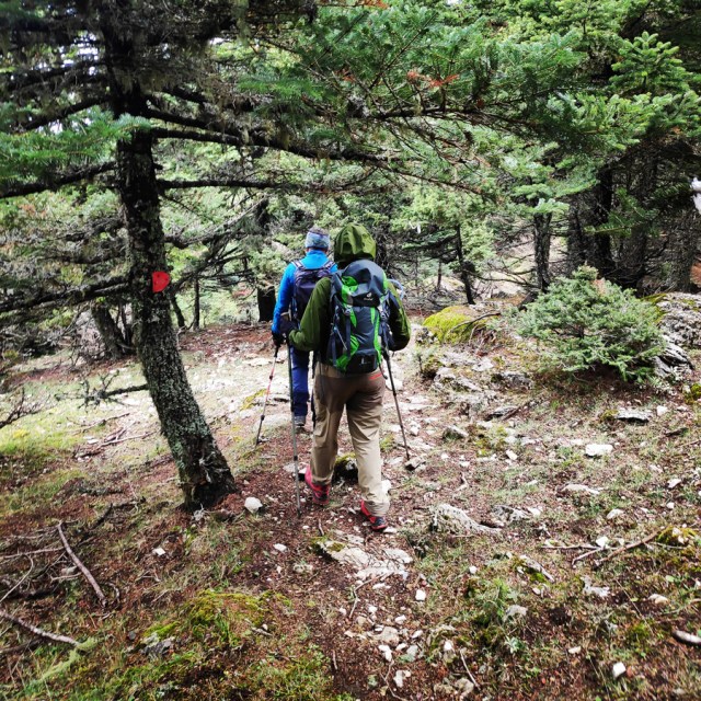 Hiking_Parnonas_Greece_211800_908