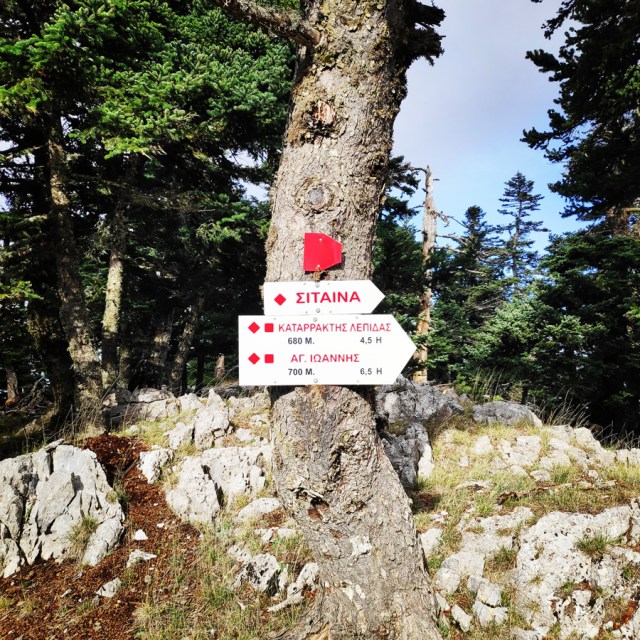 Hiking_Parnonas_Greece_211813_908