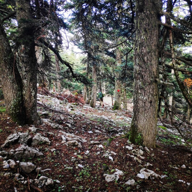 Hiking_Parnonas_Greece_211830_589