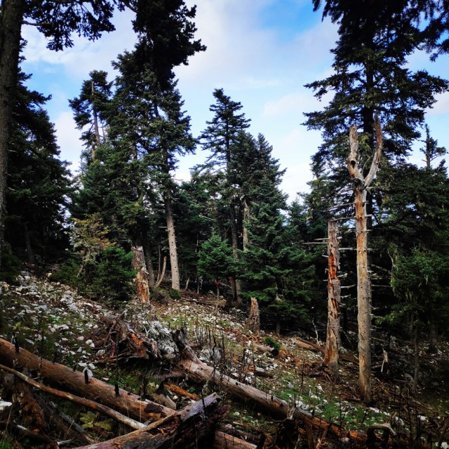 Hiking_Parnonas_Greece_211846_945