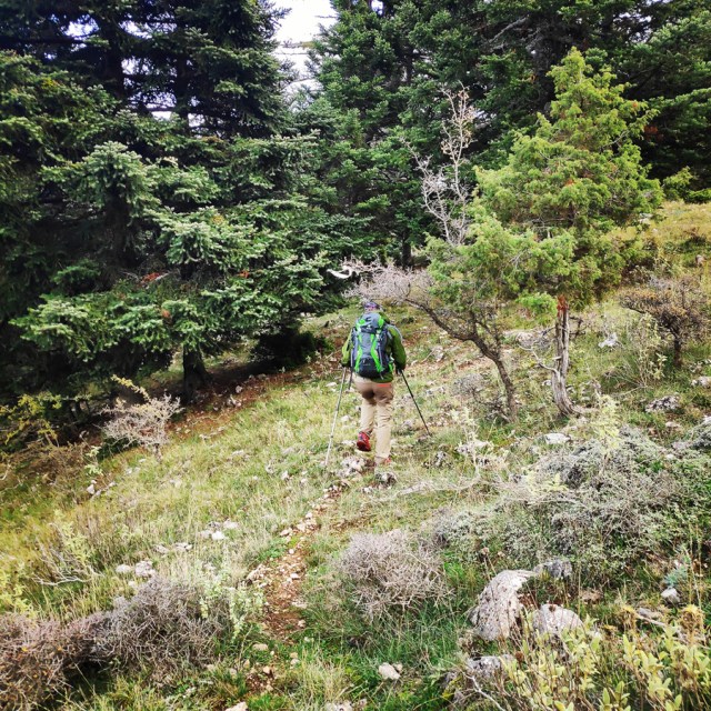 Hiking_Parnonas_Greece_211942_089