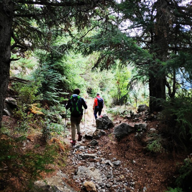 Hiking_Parnonas_Greece_212023_841