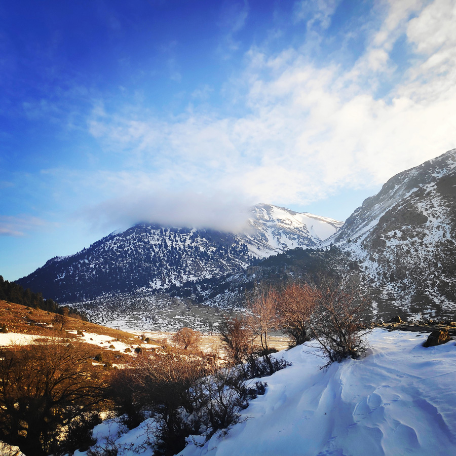 Hiking_Climbing_Kyllini_Ziria_Profitis_Elias_Peak_103200_166