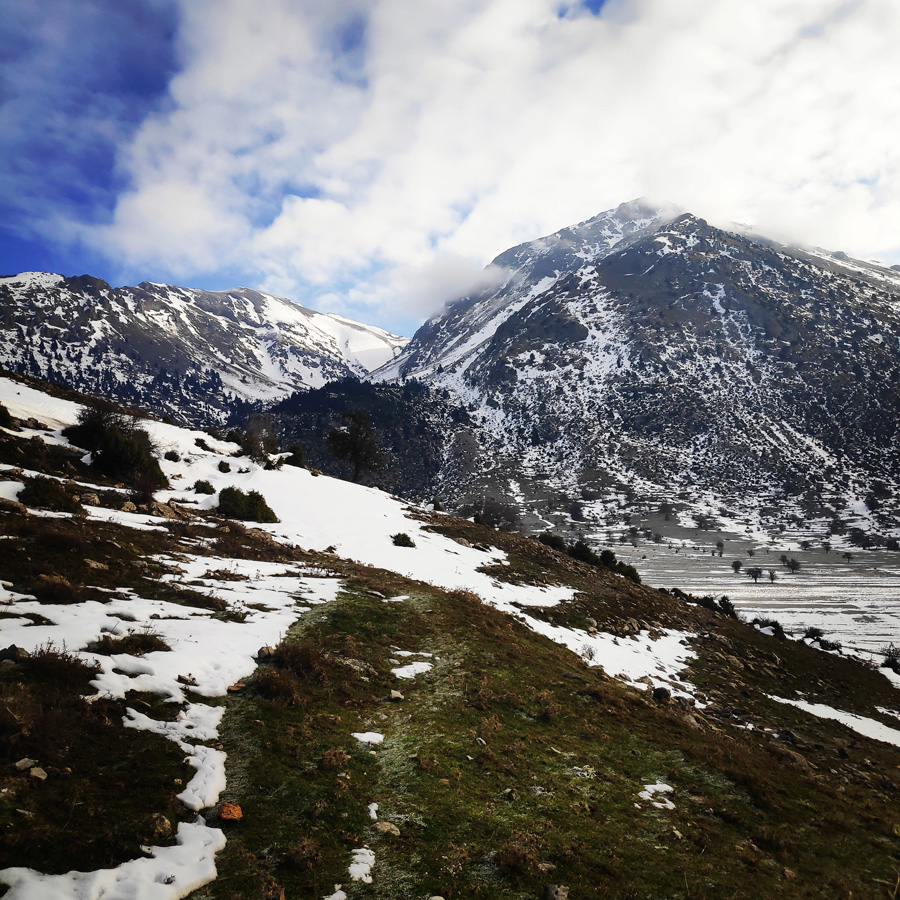 Hiking_Climbing_Kyllini_Ziria_Profitis_Elias_Peak_103244_534