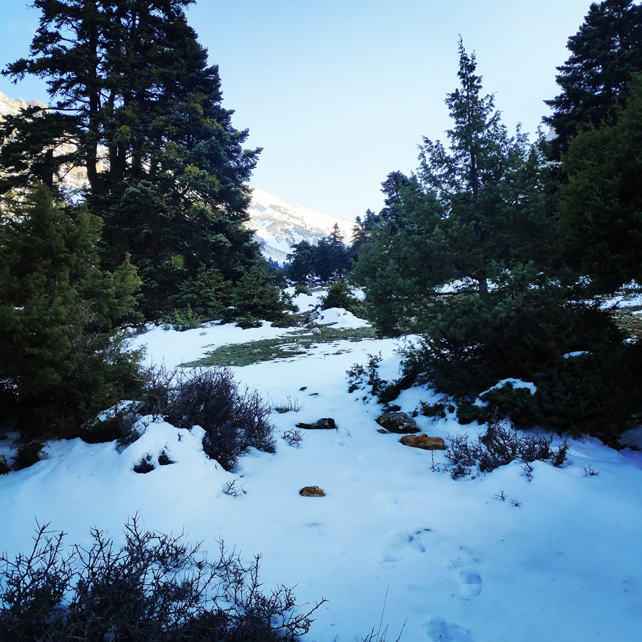 Hiking_Climbing_Kyllini_Ziria_Profitis_Elias_Peak_104521_970