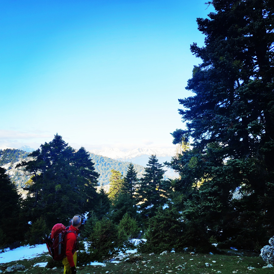 Hiking_Climbing_Kyllini_Ziria_Profitis_Elias_Peak_104557_711