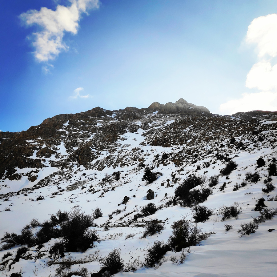 Hiking_Climbing_Kyllini_Ziria_Profitis_Elias_Peak_104754_339