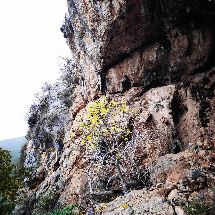DryTooling_Athens_Epos_Fylis_Rizos_Cave_092047_121
