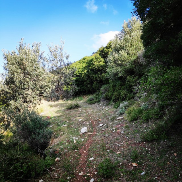 South-West_Ridge_Ortholithi_Mountain_161056_517