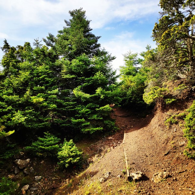 Artemisio_Mountain_Hiking_170628_232