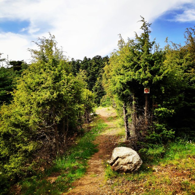 Artemisio_Mountain_Hiking_170746_854
