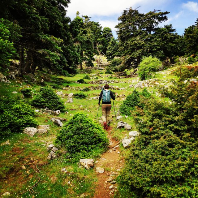 Artemisio_Mountain_Hiking_170929_490