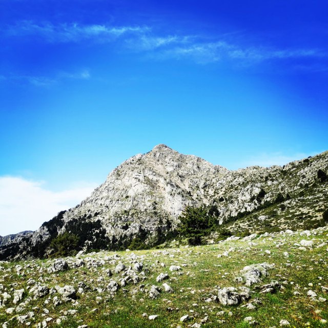 Artemisio_Mountain_Hiking_171047_493