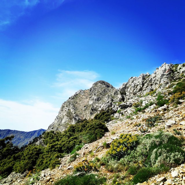 Artemisio_Mountain_Hiking_171115_123