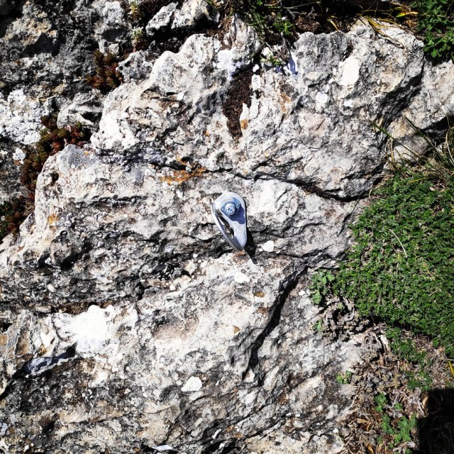 Artemisio_Mountain_Hiking_171340_760