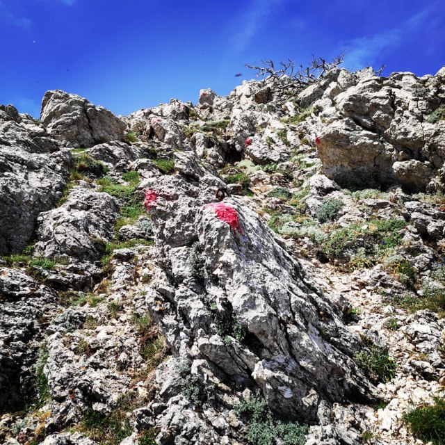 Artemisio_Mountain_Hiking_171359_718