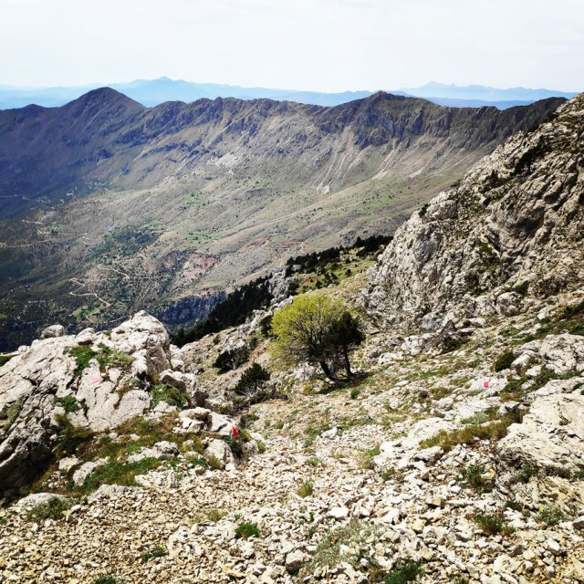 Artemisio_Mountain_Hiking_171505_739