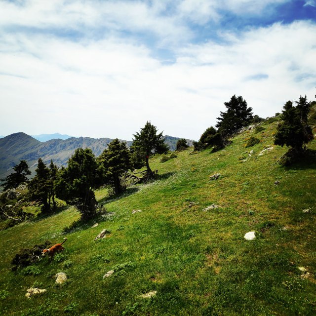 Artemisio_Mountain_Hiking_171547_760