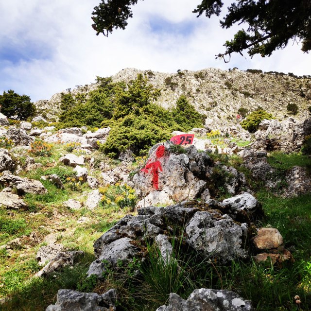 Artemisio_Mountain_Hiking_171622_932