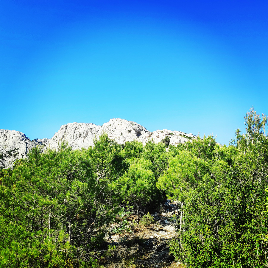 Parnitha_Flabouri_Ridge_Kopsi_203000_003