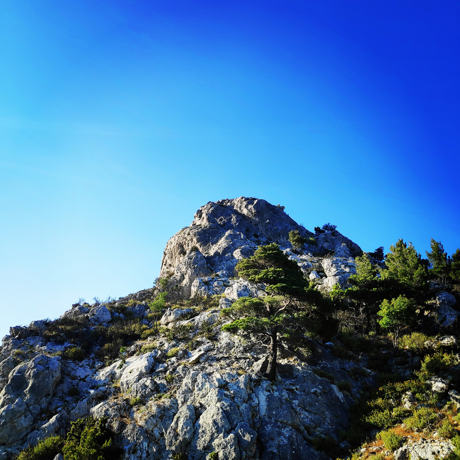 Parnitha_Flabouri_Ridge_Kopsi_204022_644