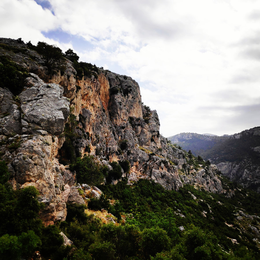 Parnitha_Via_Ferrata_Arma_205645_209