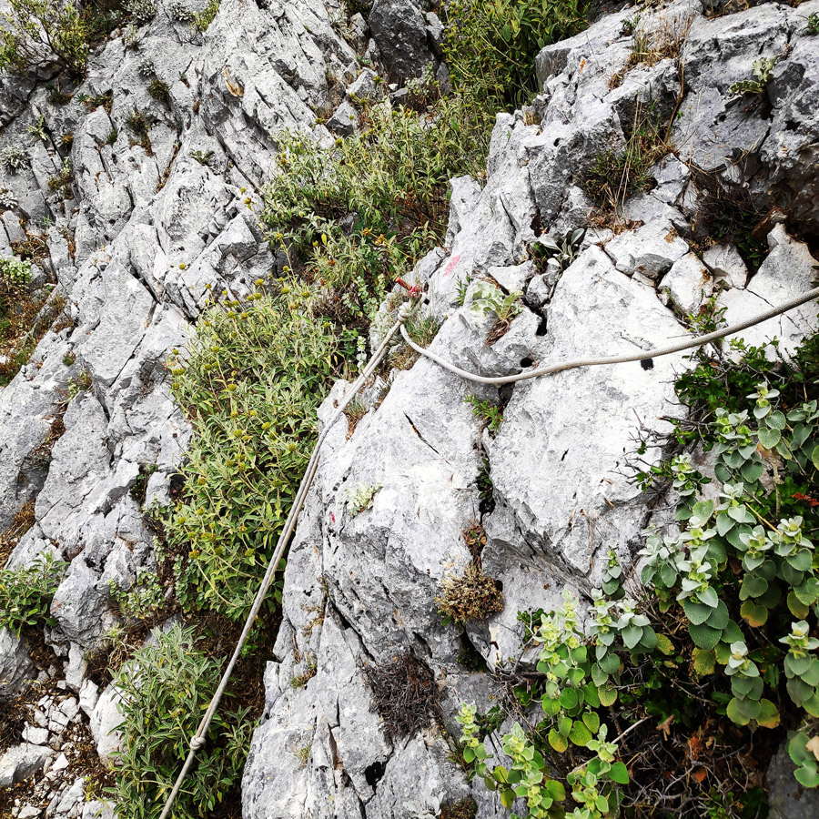 Parnitha_Via_Ferrata_Arma_212251_603