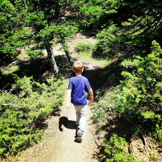 Parnitha_Wildfire_Observation_Station_Skipiza_092704_106