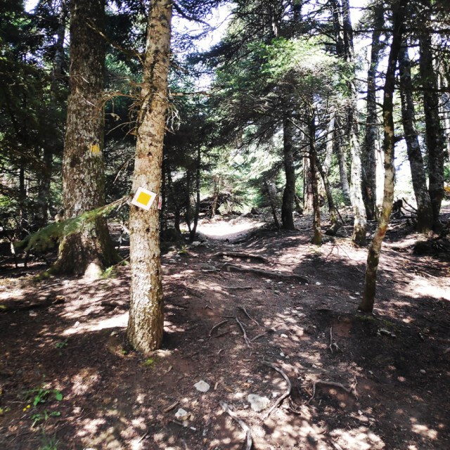 Parnitha_Wildfire_Observation_Station_Skipiza_092806_808